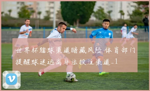世界杯赌球渠道暗藏风险 体育部门提醒球迷远离非法投注渠道_1