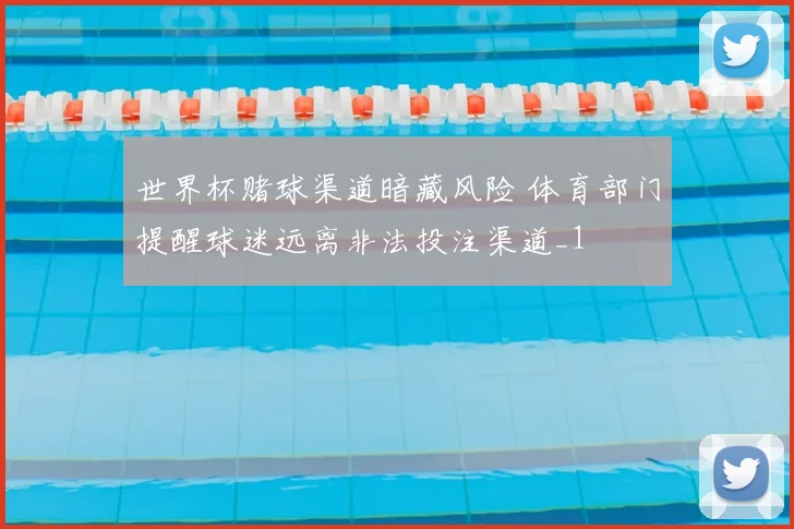 世界杯赌球渠道暗藏风险 体育部门提醒球迷远离非法投注渠道_1